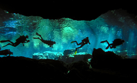 cozumel duck pond dive